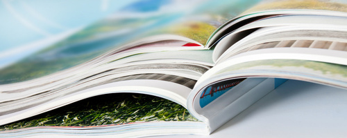 Die Stimmanalyse in der Fachpresse